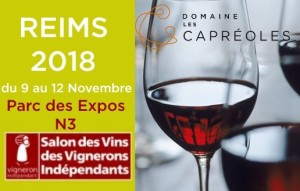 Salon VIF Reims 2018